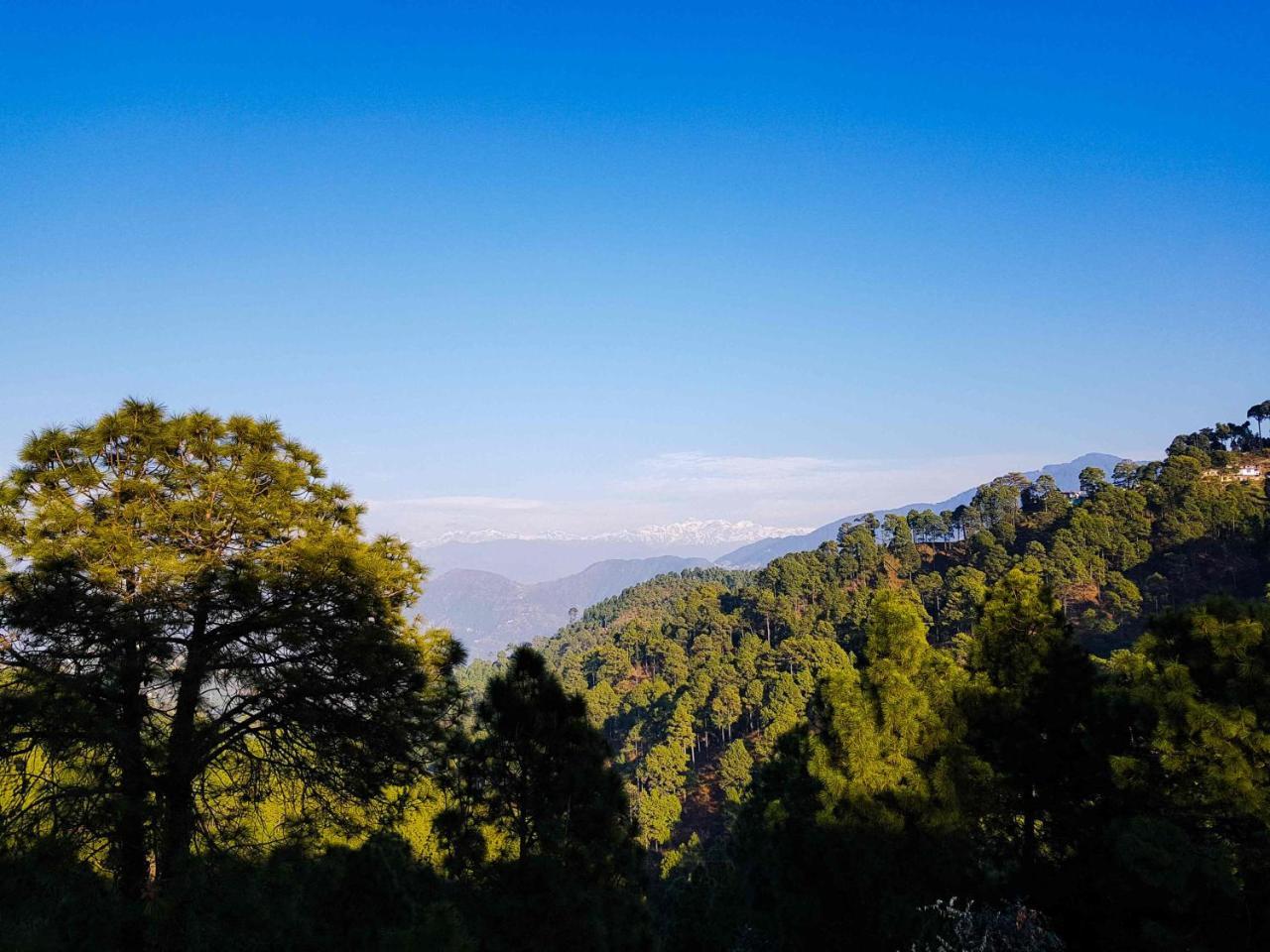 Hotel Homely Abode Dalhousie Exterior photo
